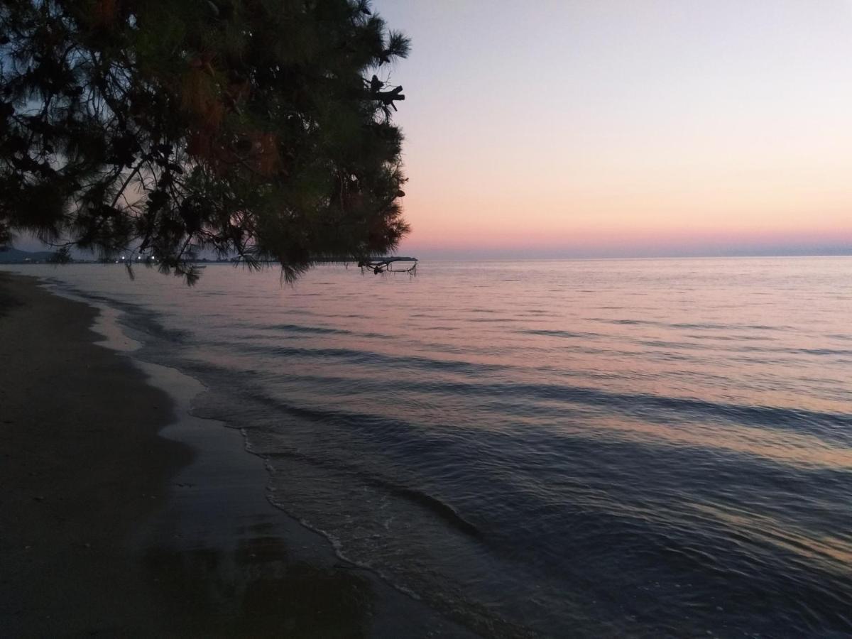 Chrisella Villa Skala Rachoni  Dış mekan fotoğraf
