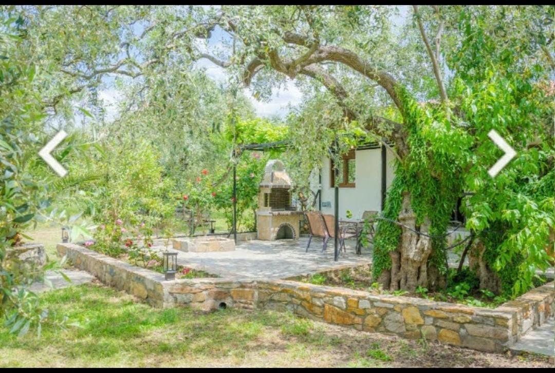 Chrisella Villa Skala Rachoni  Dış mekan fotoğraf
