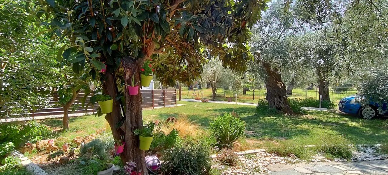 Chrisella Villa Skala Rachoni  Dış mekan fotoğraf