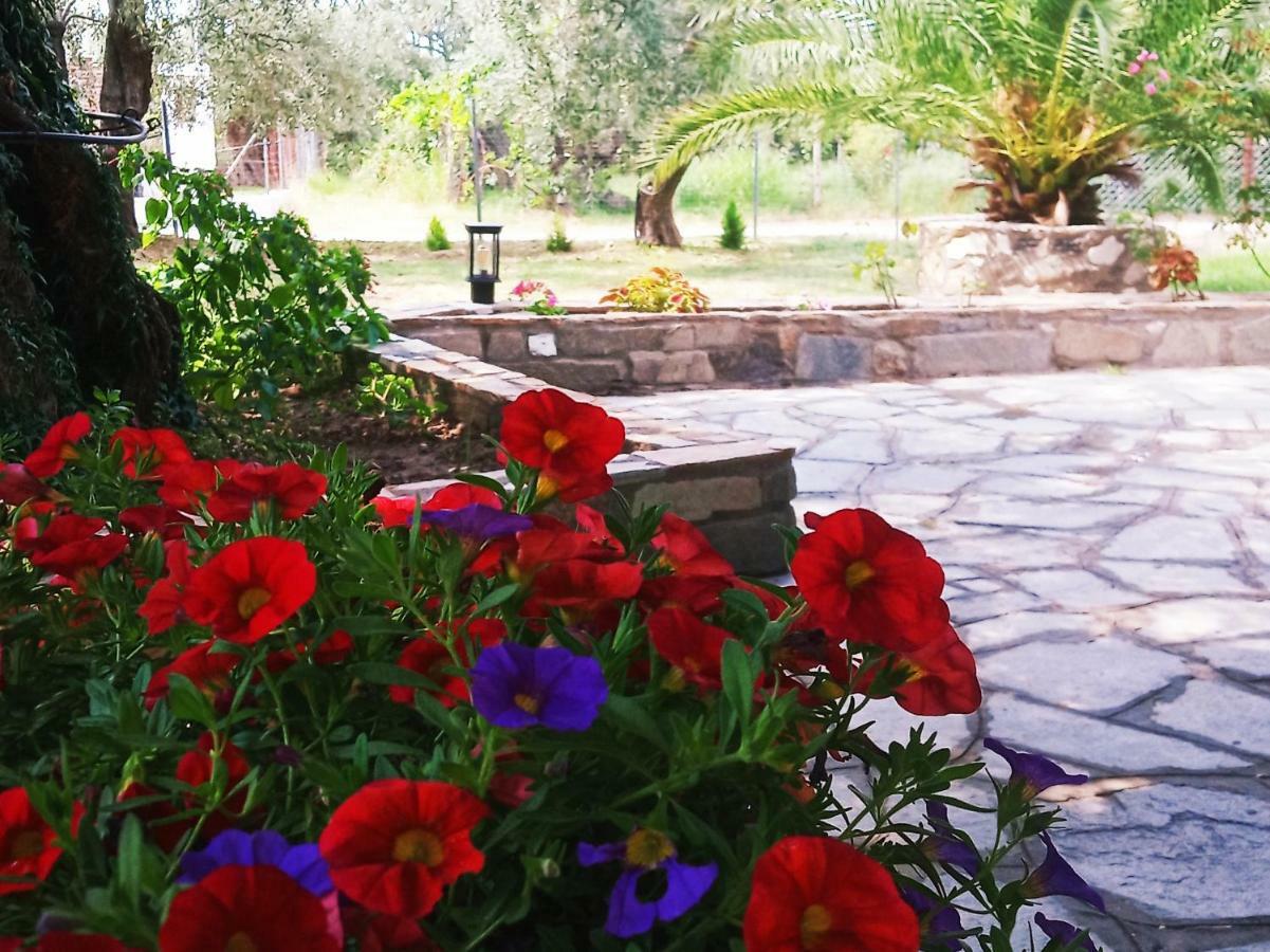 Chrisella Villa Skala Rachoni  Dış mekan fotoğraf