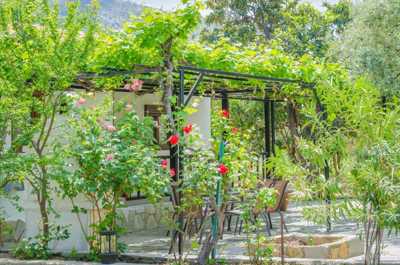Chrisella Villa Skala Rachoni  Dış mekan fotoğraf